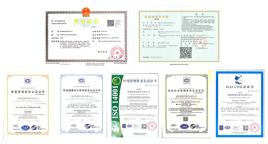 zizhi1
