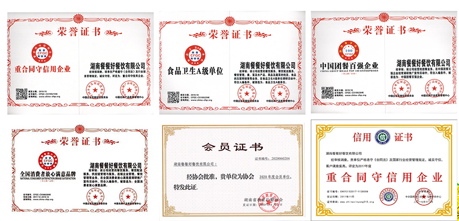 zizhi2